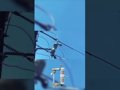 Fuse cut out berkualitas tinggi 40,5 kv polimer atau keramik drop out fuse cut out